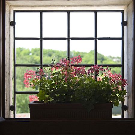 Agriturismo Althea Вітторіо-Венето Екстер'єр фото