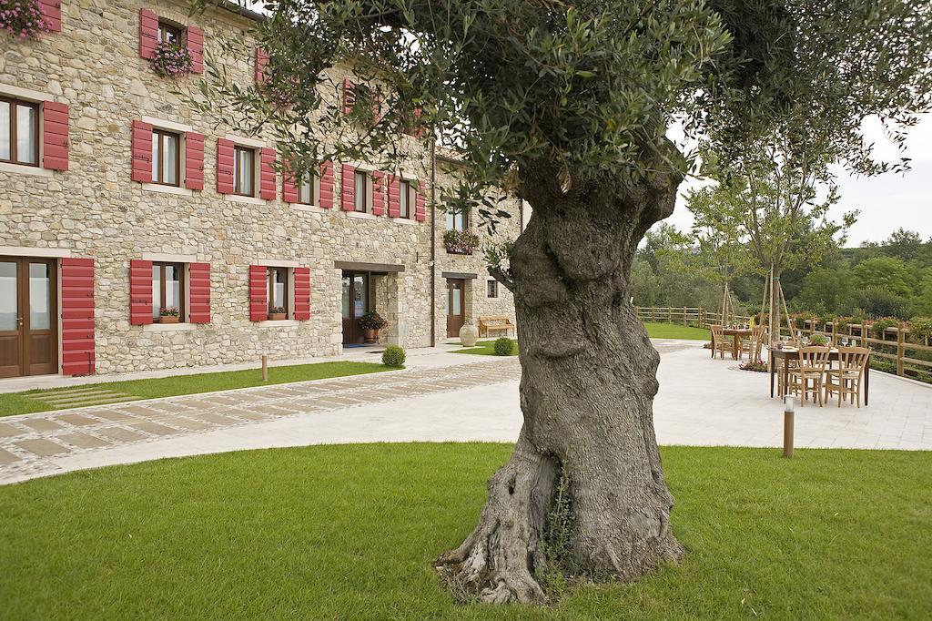 Agriturismo Althea Вітторіо-Венето Екстер'єр фото
